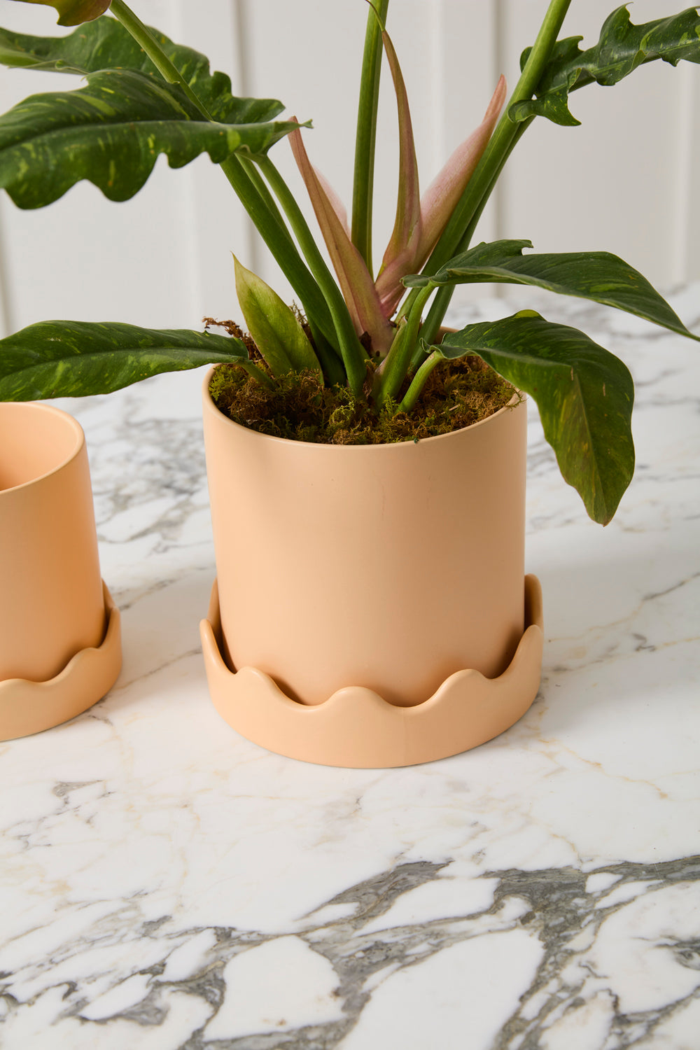Pissaro Pot with Saucer Set of 4 By Accent Decor | Planters, Troughs & Cachepots | Modishstore - 17