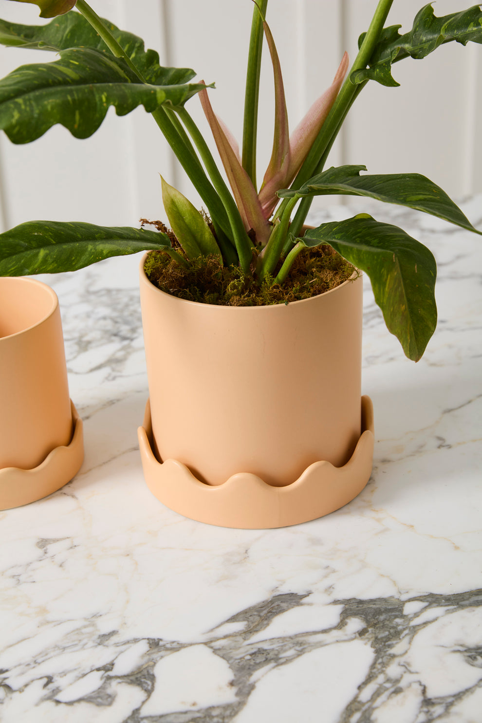 Pissaro Pot with Saucer Set of 4 By Accent Decor | Planters, Troughs & Cachepots | Modishstore - 17