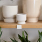 Pasadena Pot Set of 4 By Accent Decor | Planters, Troughs & Cachepots | Modishstore - 35