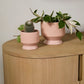 Pasadena Pot Set of 4 By Accent Decor | Planters, Troughs & Cachepots | Modishstore - 19