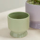 Pasadena Pot Set of 4 By Accent Decor | Planters, Troughs & Cachepots | Modishstore - 22