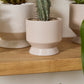 Pasadena Pot Set of 4 By Accent Decor | Planters, Troughs & Cachepots | Modishstore - 45