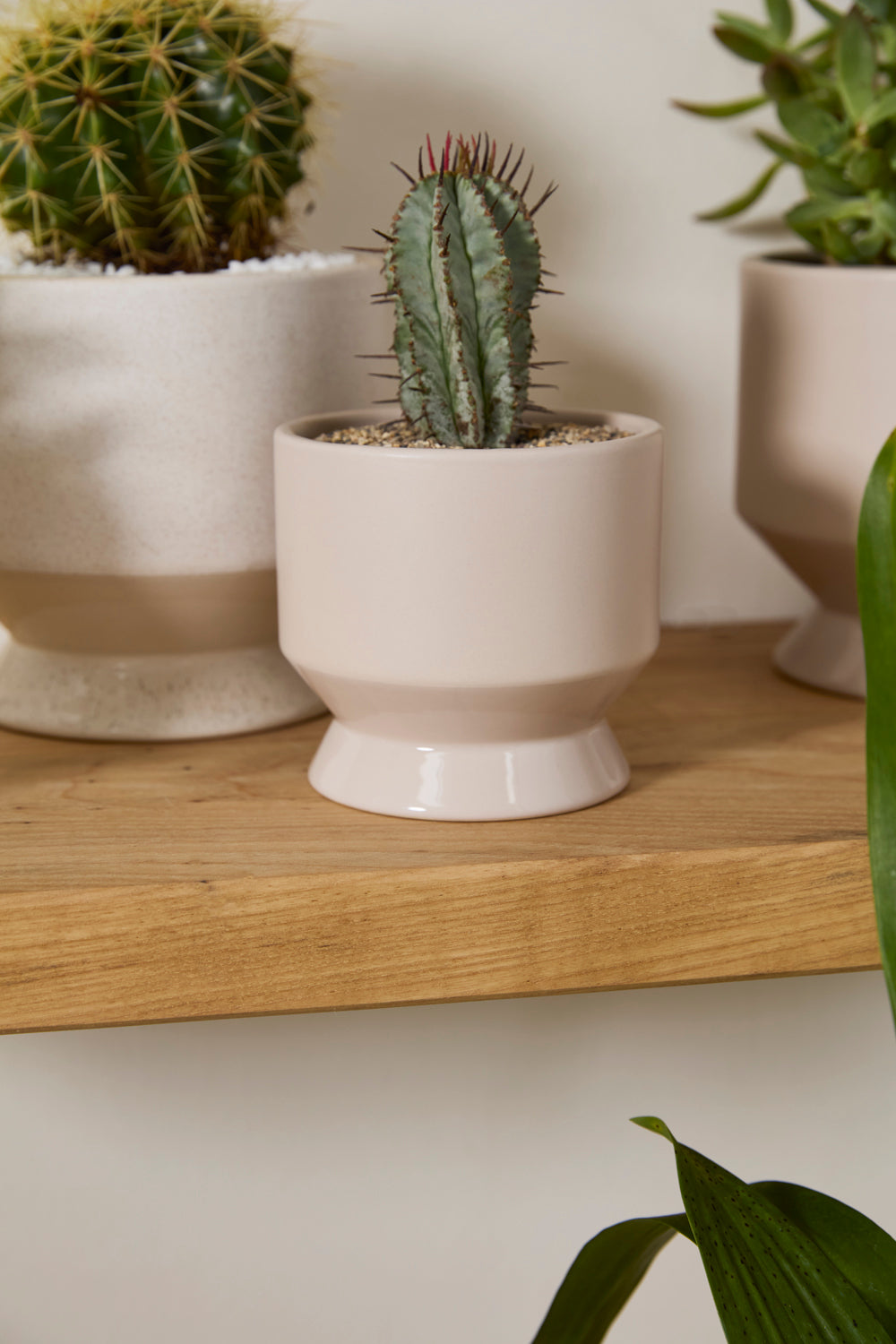 Pasadena Pot Set of 4 By Accent Decor | Planters, Troughs & Cachepots | Modishstore - 45