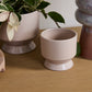 Pasadena Pot Set of 4 By Accent Decor | Planters, Troughs & Cachepots | Modishstore - 46