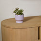Pasadena Pot Set of 4 By Accent Decor | Planters, Troughs & Cachepots | Modishstore - 27