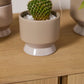 Pasadena Pot Set of 4 By Accent Decor | Planters, Troughs & Cachepots | Modishstore - 39