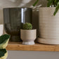 Pasadena Pot Set of 4 By Accent Decor | Planters, Troughs & Cachepots | Modishstore - 40