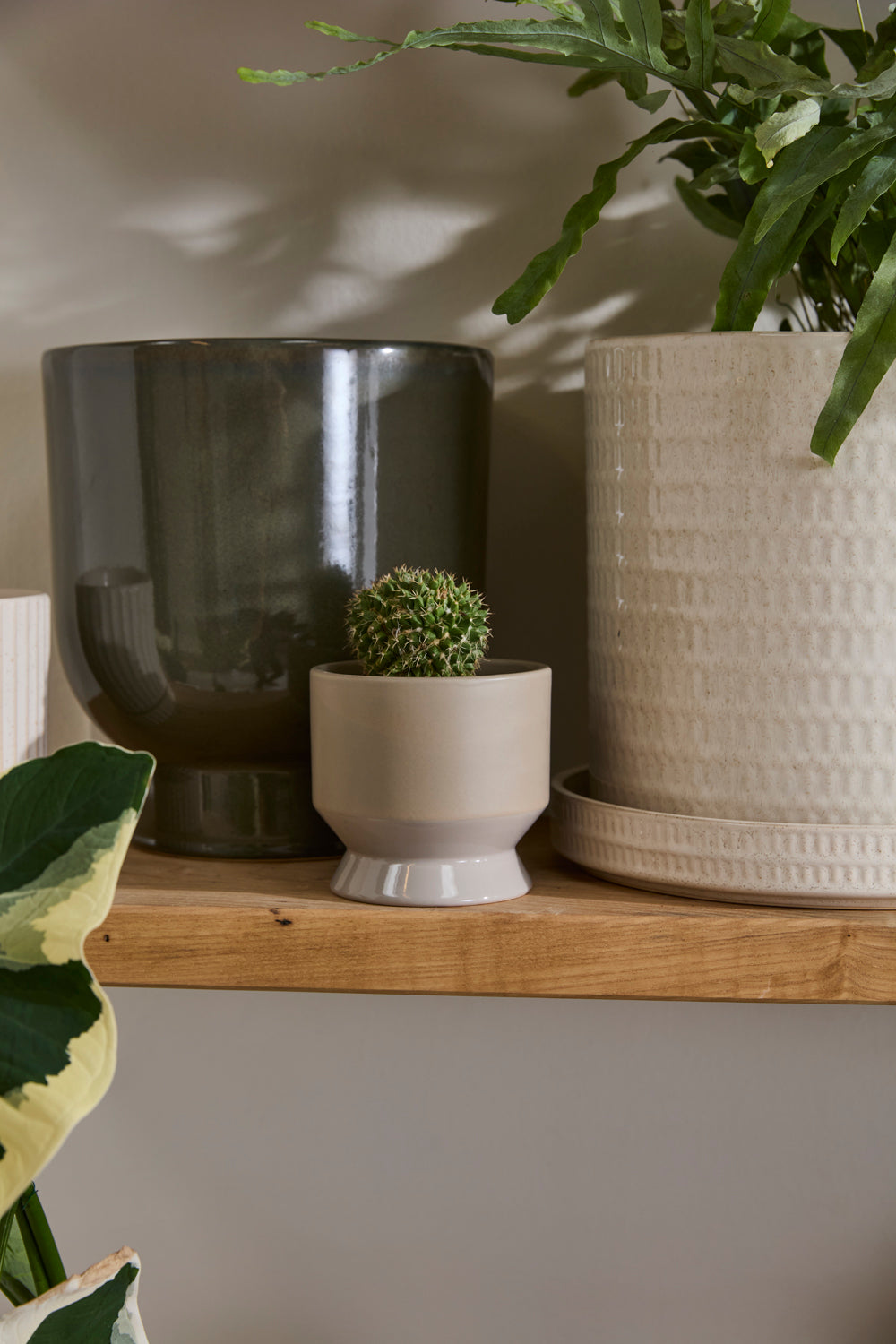Pasadena Pot Set of 4 By Accent Decor | Planters, Troughs & Cachepots | Modishstore - 40