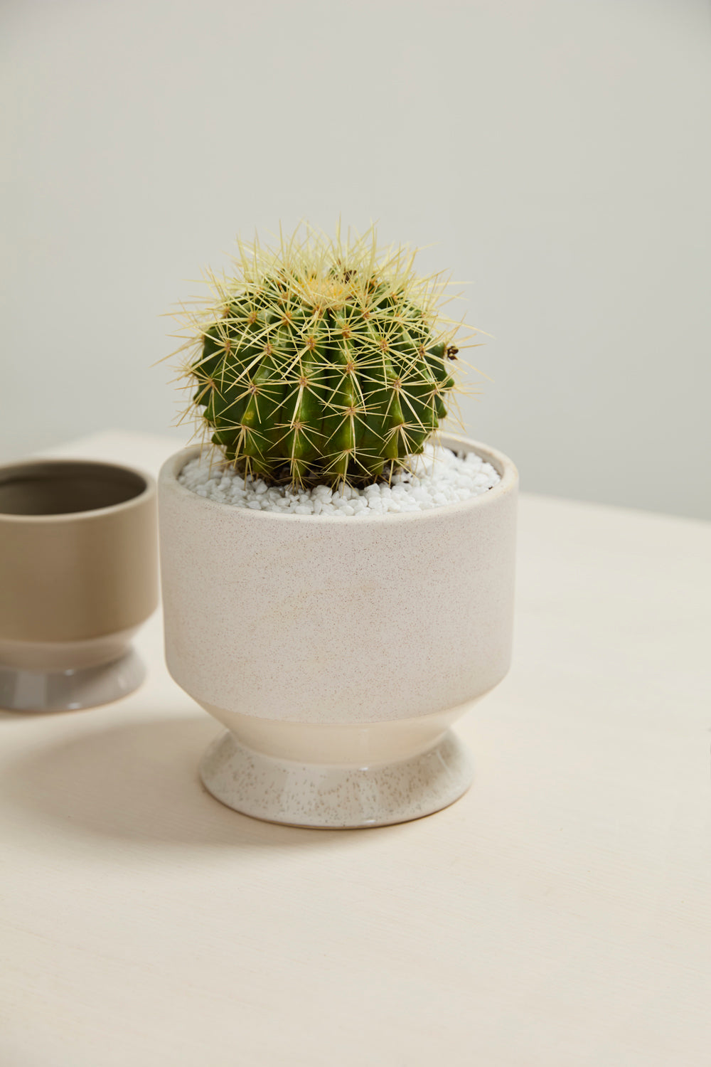 Pasadena Pot Set of 4 By Accent Decor | Planters, Troughs & Cachepots | Modishstore - 51