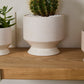 Pasadena Pot Set of 4 By Accent Decor | Planters, Troughs & Cachepots | Modishstore - 52