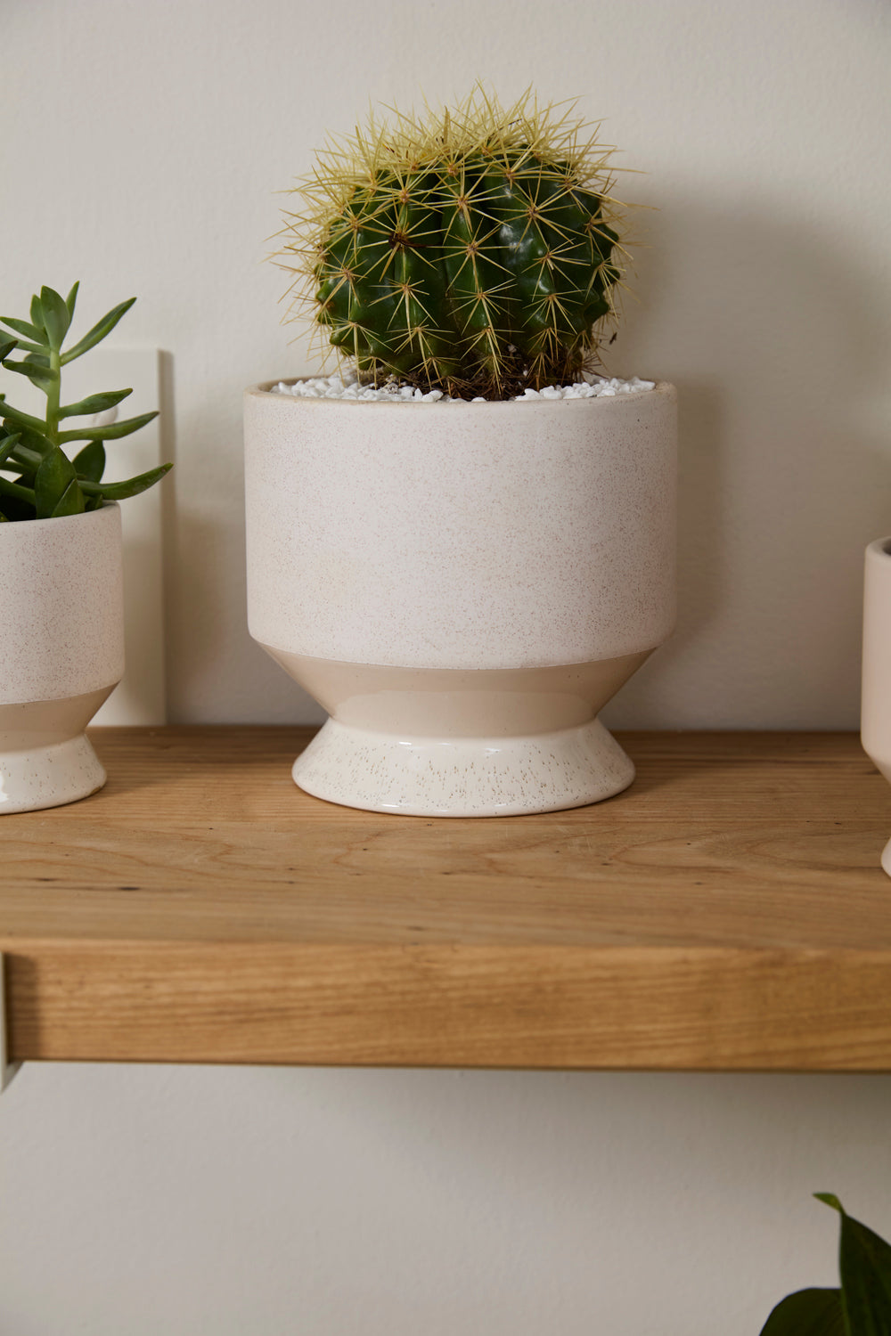 Pasadena Pot Set of 4 By Accent Decor | Planters, Troughs & Cachepots | Modishstore - 52