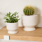 Pasadena Pot Set of 4 By Accent Decor | Planters, Troughs & Cachepots | Modishstore - 53