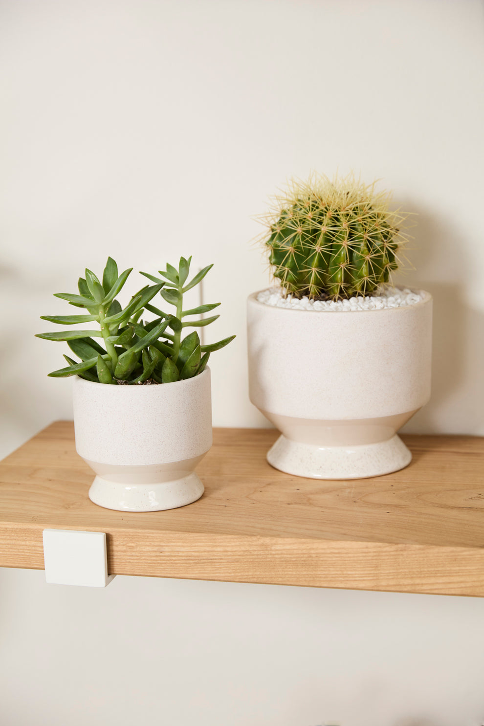 Pasadena Pot Set of 4 By Accent Decor | Planters, Troughs & Cachepots | Modishstore - 53