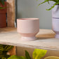 Pasadena Pot Set of 4 By Accent Decor | Planters, Troughs & Cachepots | Modishstore - 7