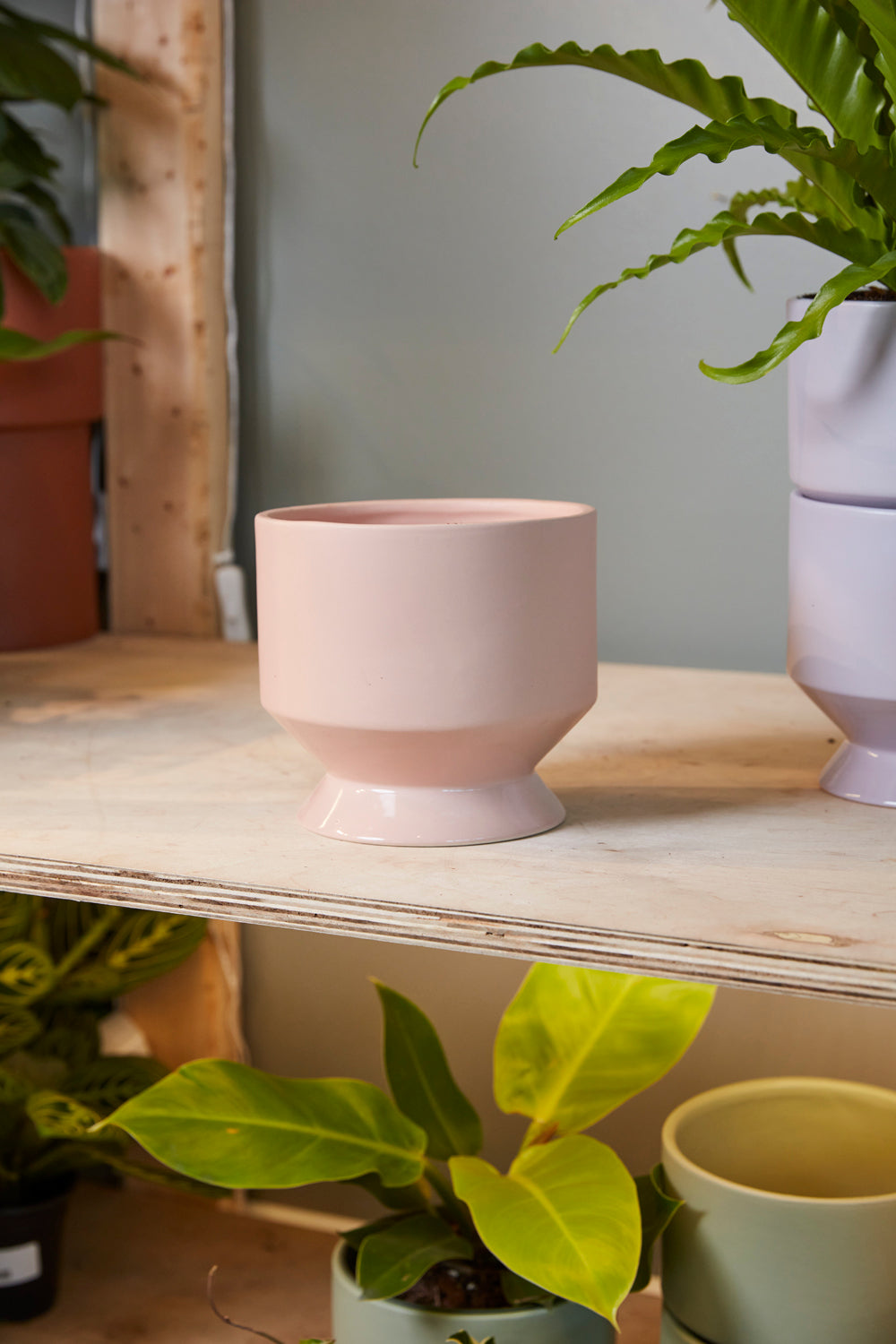 Pasadena Pot Set of 4 By Accent Decor | Planters, Troughs & Cachepots | Modishstore - 7