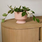 Pasadena Pot Set of 4 By Accent Decor | Planters, Troughs & Cachepots | Modishstore - 8