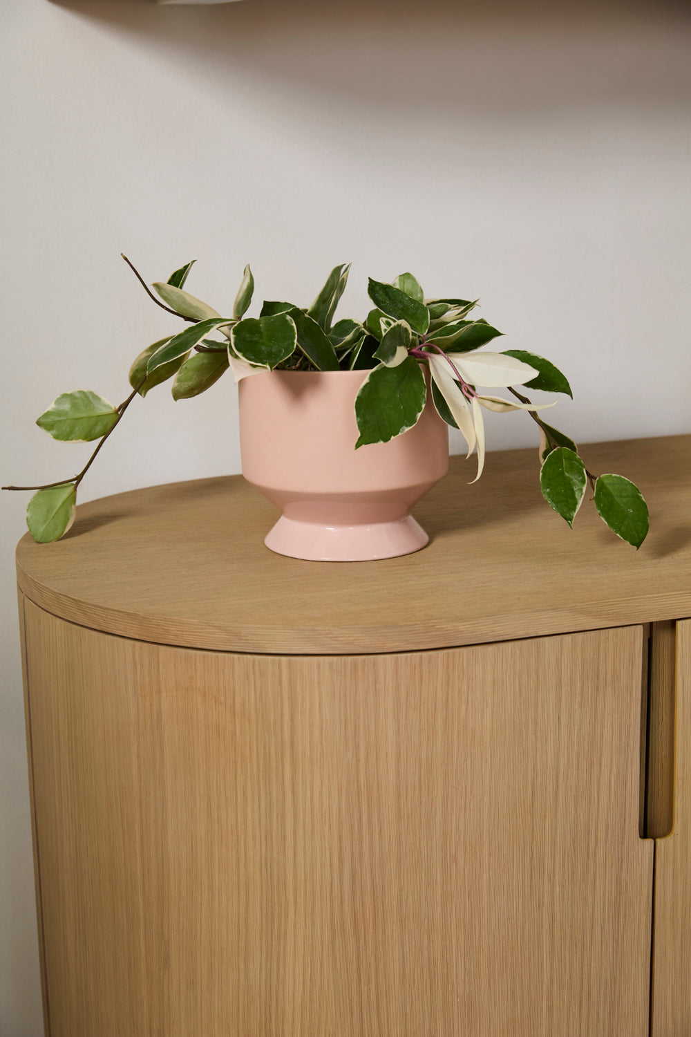 Pasadena Pot Set of 4 By Accent Decor | Planters, Troughs & Cachepots | Modishstore - 8