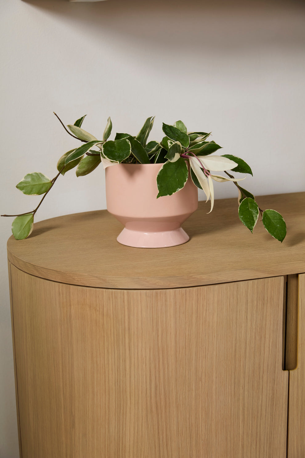 Pasadena Pot Set of 4 By Accent Decor | Planters, Troughs & Cachepots | Modishstore - 8