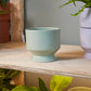 Pasadena Pot Set of 4 By Accent Decor | Planters, Troughs & Cachepots | Modishstore - 10