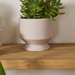 Pasadena Pot Set of 4 By Accent Decor | Planters, Troughs & Cachepots | Modishstore - 60