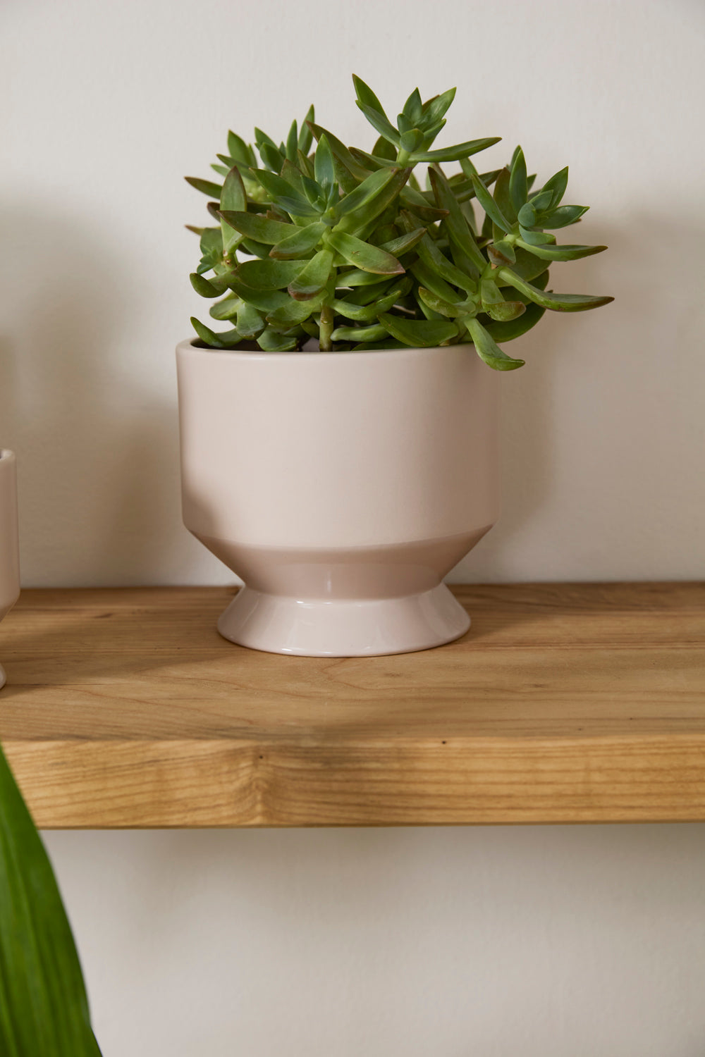 Pasadena Pot Set of 4 By Accent Decor | Planters, Troughs & Cachepots | Modishstore - 60
