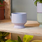 Pasadena Pot Set of 4 By Accent Decor | Planters, Troughs & Cachepots | Modishstore - 13