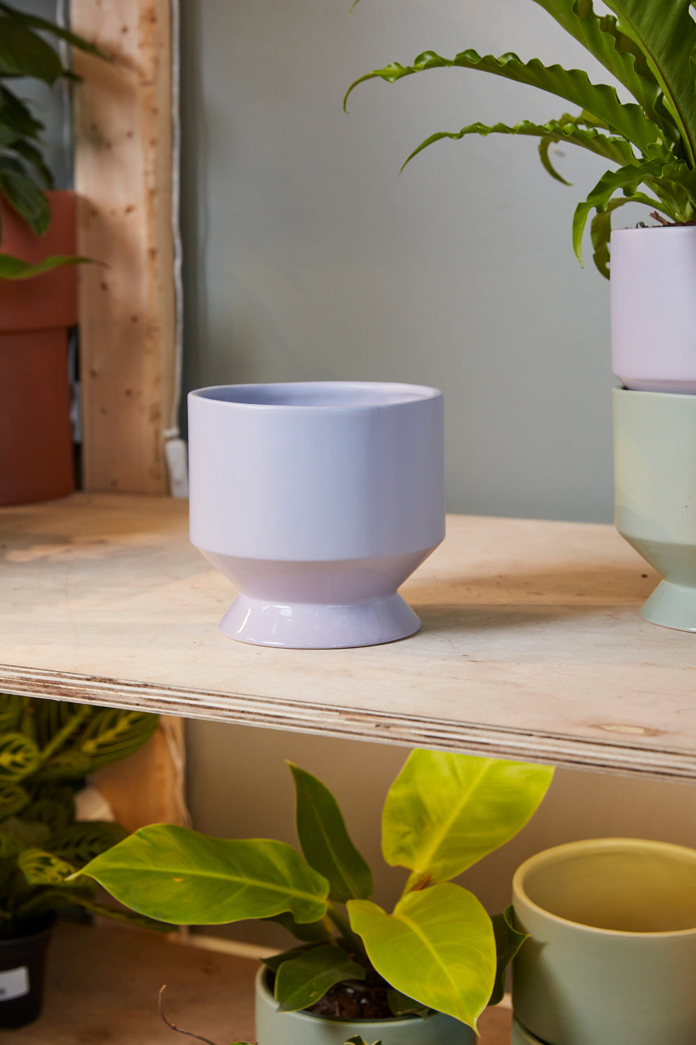 Pasadena Pot Set of 4 By Accent Decor | Planters, Troughs & Cachepots | Modishstore - 13