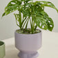 Pasadena Pot Set of 4 By Accent Decor | Planters, Troughs & Cachepots | Modishstore - 14