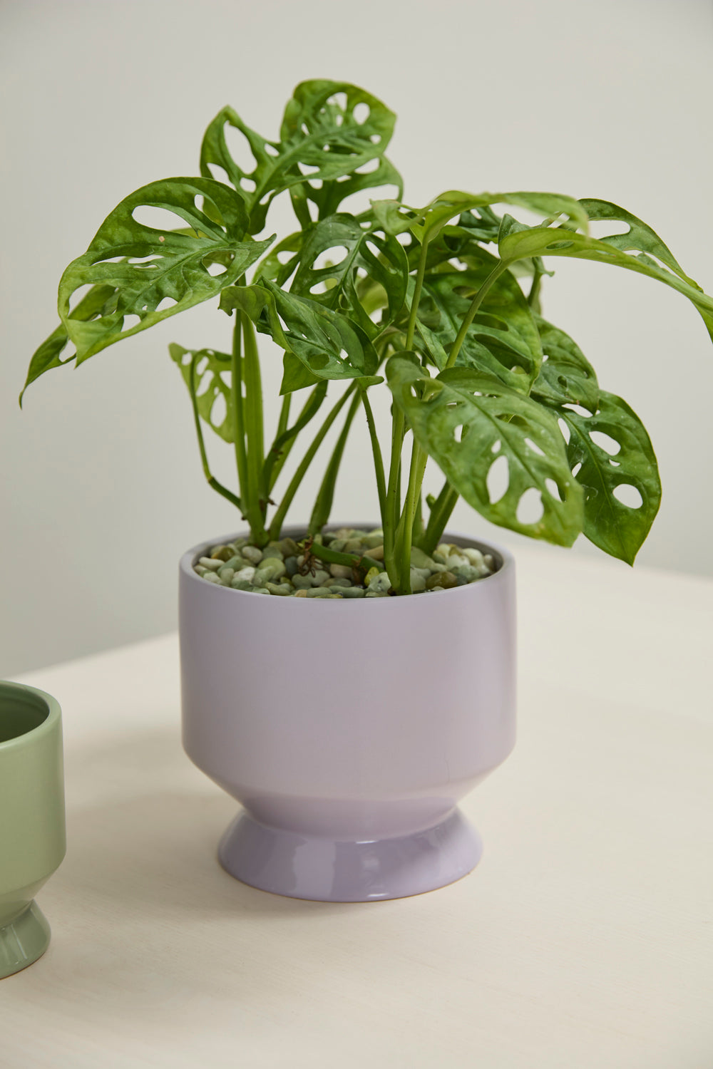 Pasadena Pot Set of 4 By Accent Decor | Planters, Troughs & Cachepots | Modishstore - 14