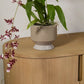 Pasadena Pot Set of 4 By Accent Decor | Planters, Troughs & Cachepots | Modishstore - 55
