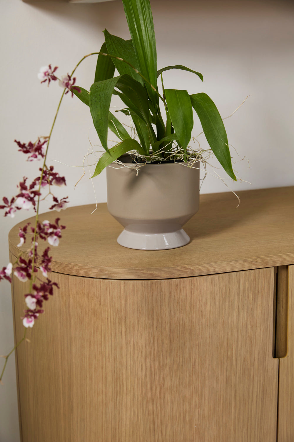 Pasadena Pot Set of 4 By Accent Decor | Planters, Troughs & Cachepots | Modishstore - 55