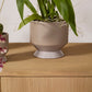 Pasadena Pot Set of 4 By Accent Decor | Planters, Troughs & Cachepots | Modishstore - 57