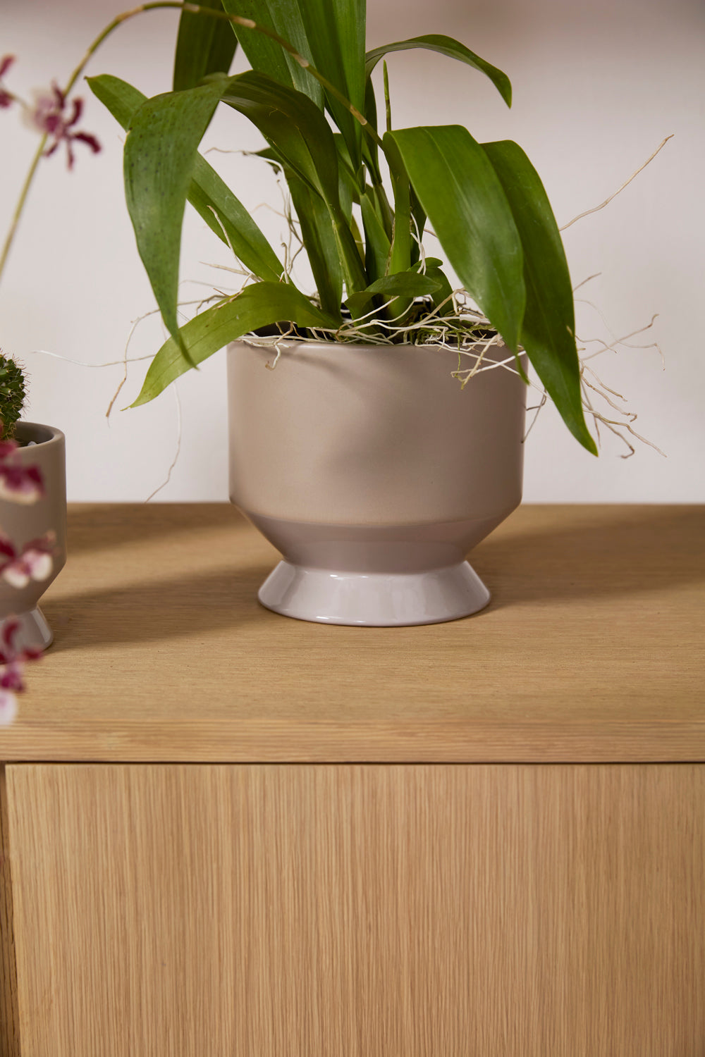 Pasadena Pot Set of 4 By Accent Decor | Planters, Troughs & Cachepots | Modishstore - 57