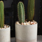 Downy Pot Set of 8 By Accent DŽcor
