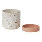 Briar Pot Set of 4 By Accent Decor | Planters, Troughs & Cachepots | Modishstore - 5