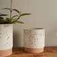 Briar Pot Set of 4 By Accent Decor | Planters, Troughs & Cachepots | Modishstore - 6
