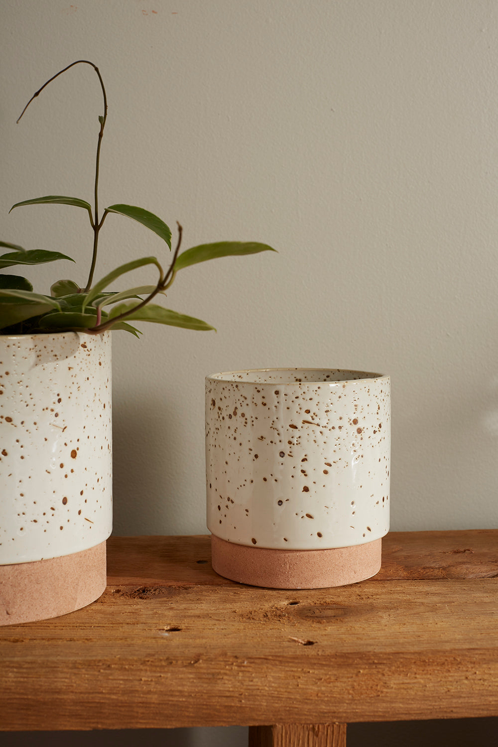 Briar Pot Set of 4 By Accent Decor | Planters, Troughs & Cachepots | Modishstore - 6
