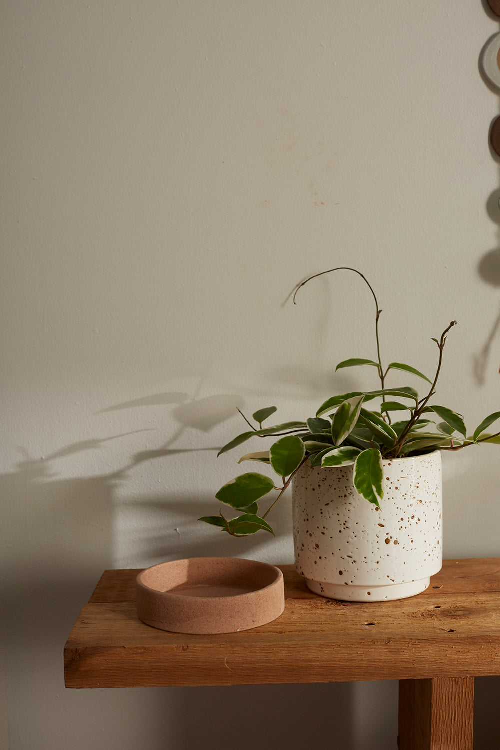 Briar Pot Set of 4 By Accent Decor | Planters, Troughs & Cachepots | Modishstore - 9