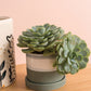 Greer Pot Set of 8 By Accent DŽcor