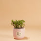 Peace and Love Pot Set of 8 By Accent Decor | Planters, Troughs & Cachepots | Modishstore - 6
