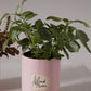 Peace and Love Pot Set of 8 By Accent Decor | Planters, Troughs & Cachepots | Modishstore - 11