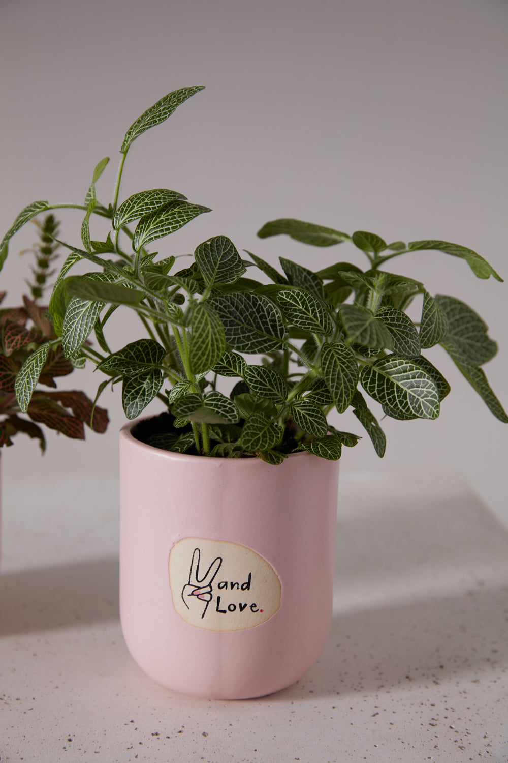 Peace and Love Pot Set of 8 By Accent Decor | Planters, Troughs & Cachepots | Modishstore - 11