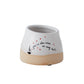 Declarations Collection Set of 8 By Accent Decor | Planters, Troughs & Cachepots | Modishstore - 2