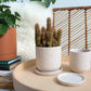 Sundae Pot Set of 4 By Accent Decor | Planters, Troughs & Cachepots | Modishstore - 5