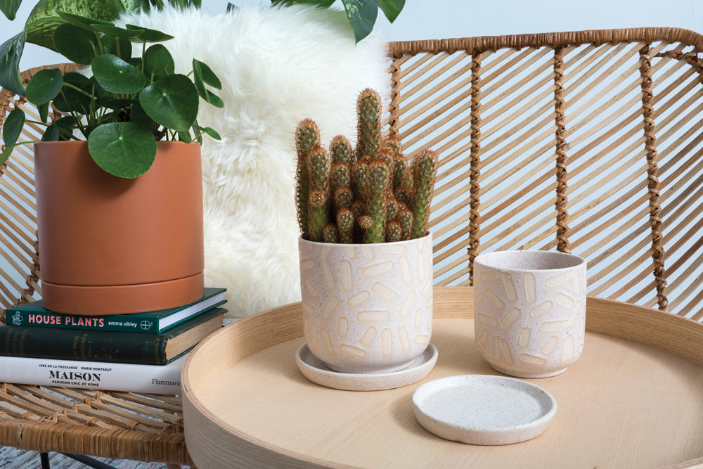 Sundae Pot Set of 4 By Accent Decor | Planters, Troughs & Cachepots | Modishstore - 5