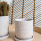 Sundae Pot Set of 4 By Accent Decor | Planters, Troughs & Cachepots | Modishstore - 6