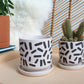 Sundae Pot Set of 4 By Accent Decor | Planters, Troughs & Cachepots | Modishstore - 8