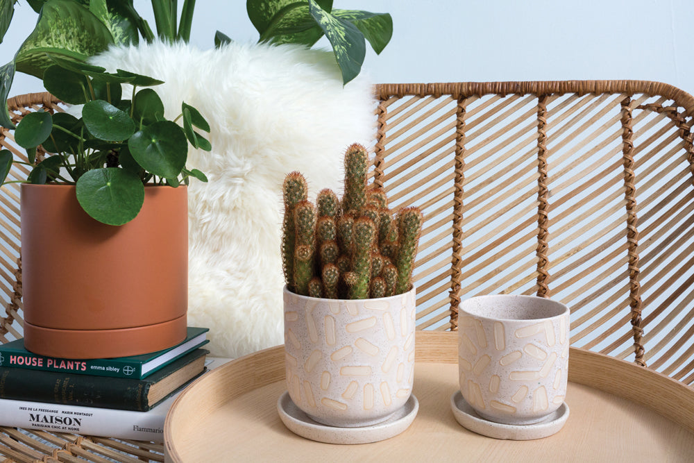 Sundae Pot Set of 4 By Accent Decor | Planters, Troughs & Cachepots | Modishstore - 10