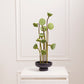 Nightingale Compote Set of 8 By Accent Decor | Planters, Troughs & Cachepots | Modishstore - 10