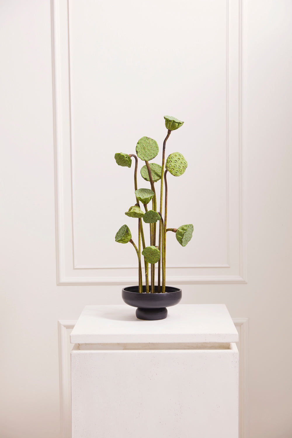 Nightingale Compote Set of 8 By Accent Decor | Planters, Troughs & Cachepots | Modishstore - 10